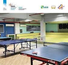 Table Tennis Court